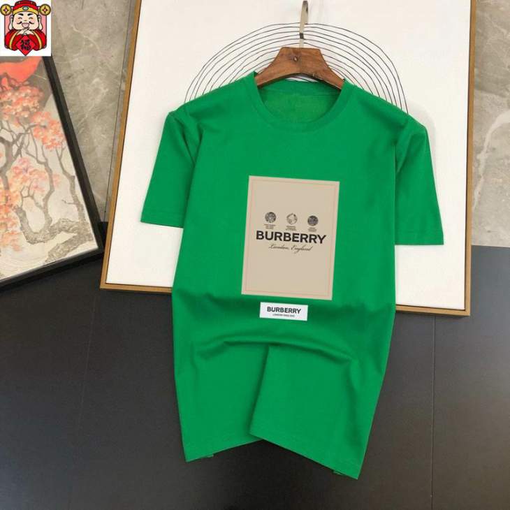 Picture of Burberry T Shirts Short _SKUBurberryM-5XLkdtr2220051